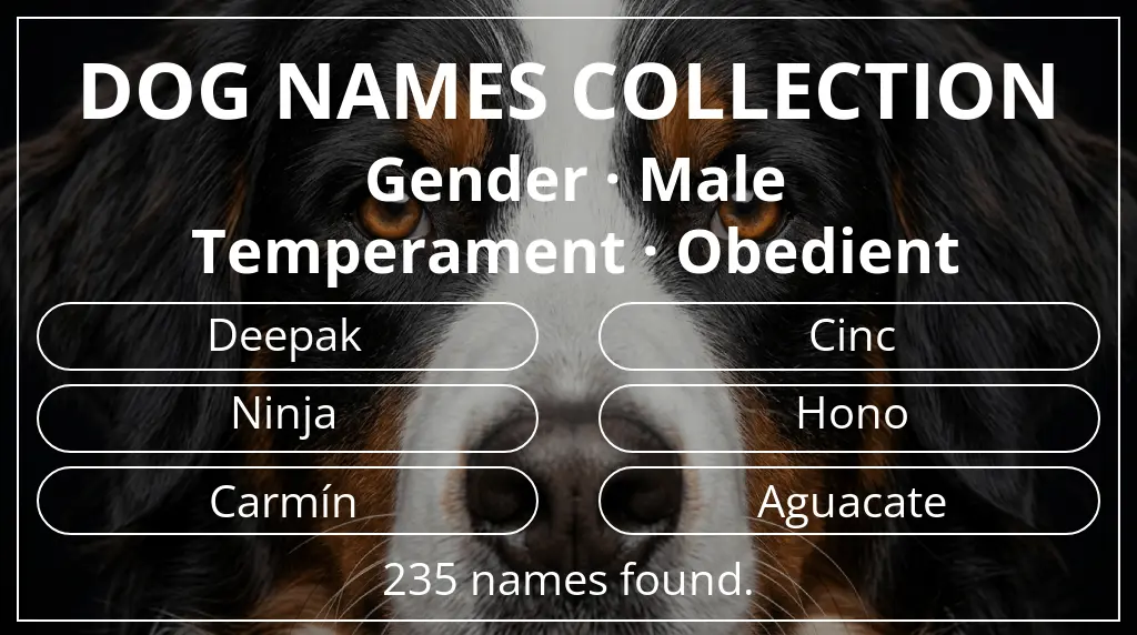 Names for dogs based on male gender and obedient temperament