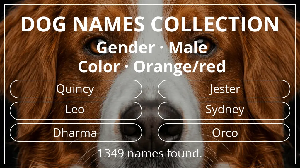 Names for dogs based on male gender and orange/red color