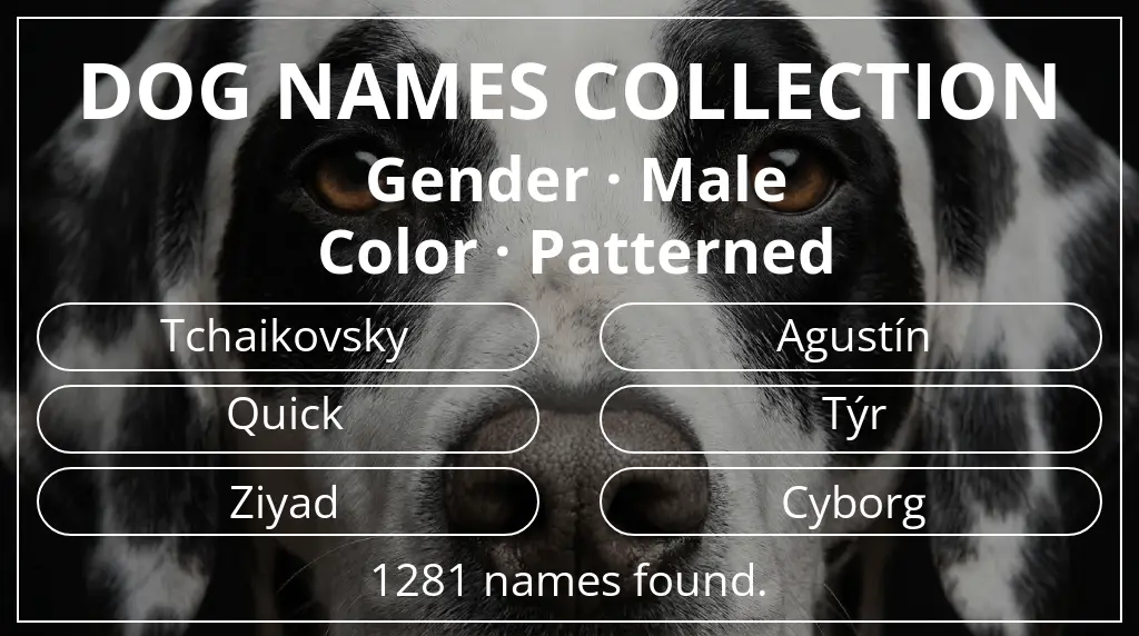 Names for dogs inspired by male gender and patterned color