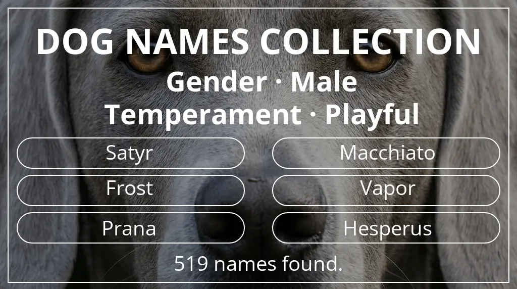 Dog names based on male gender and playful temperament