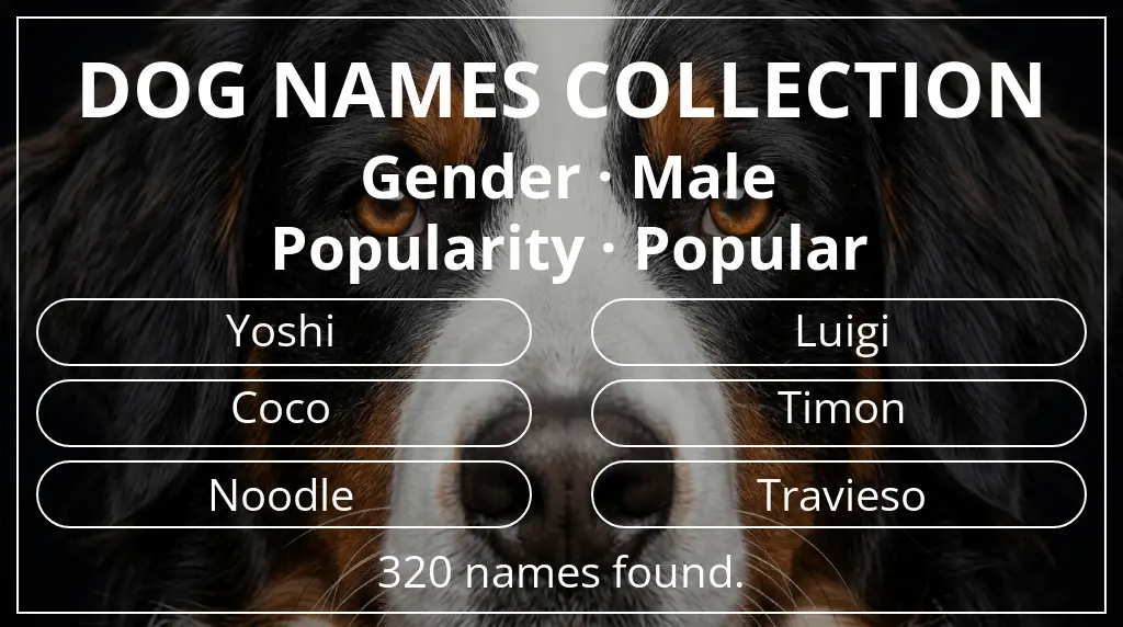 Dog names based on male gender and popular popularity
