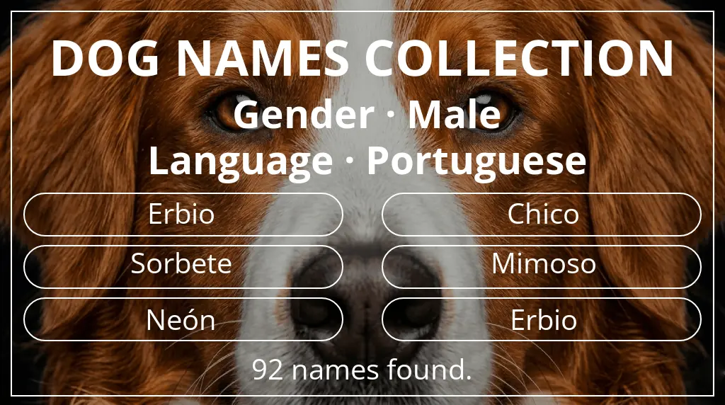 Dog names inspired by male gender and portuguese language