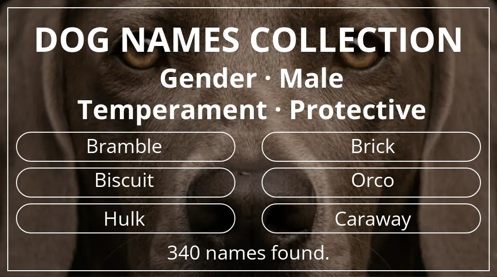 Dog names inspired by male gender and protective temperament