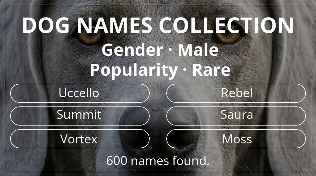 Names for dogs based on male gender and rare popularity