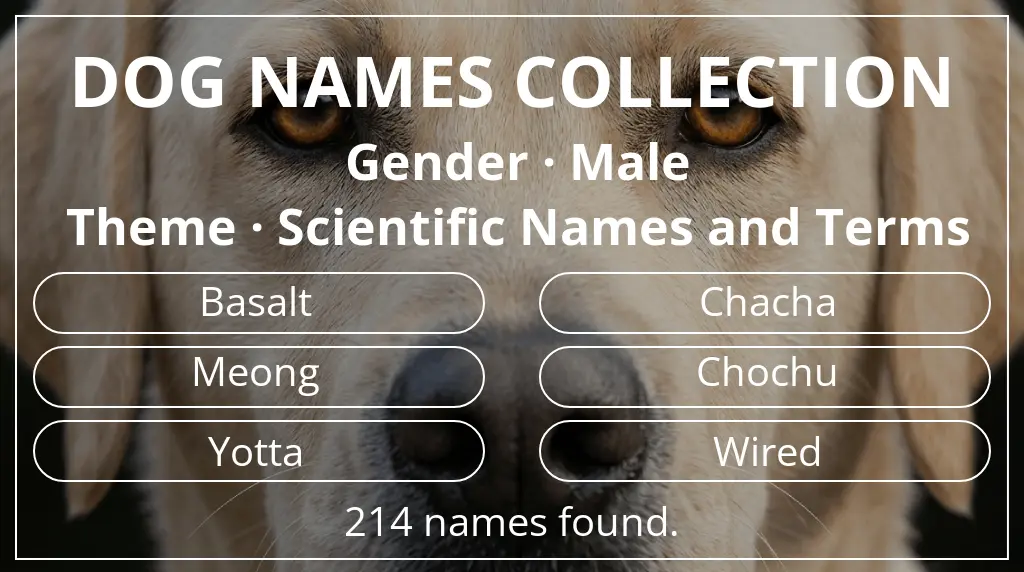 Names for dogs based on male gender and scientific names and terms theme