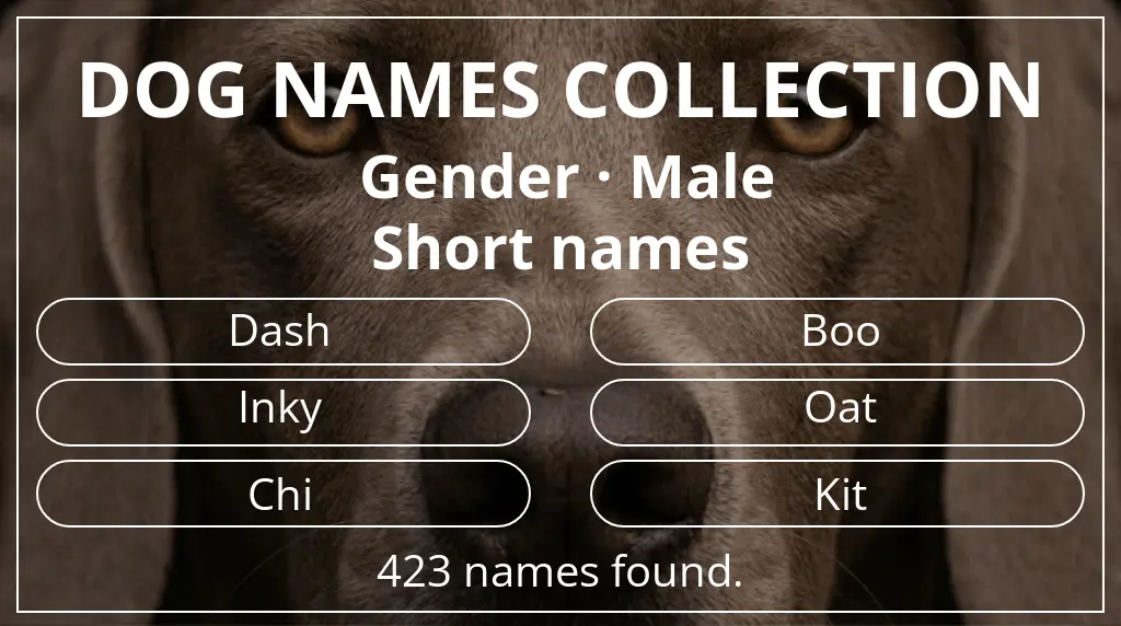 Dog names based on male gender and short (2–4) name length