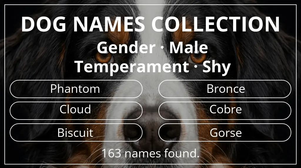 Dog names inspired by male gender and shy temperament