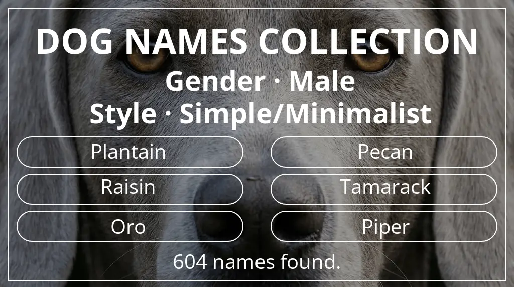 Names for dogs inspired by male gender and simple/minimalist style