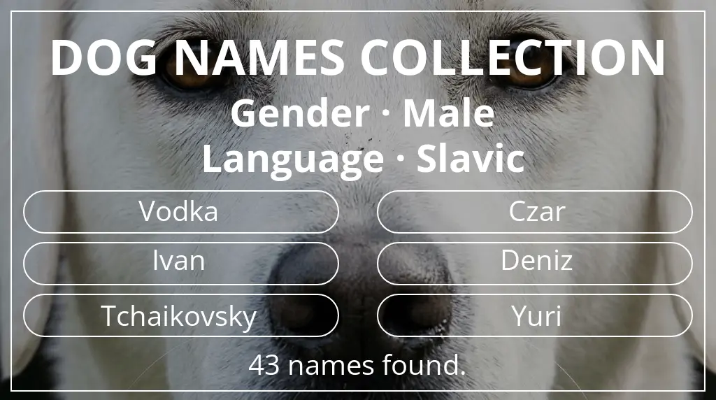Names for dogs based on male gender and slavic language
