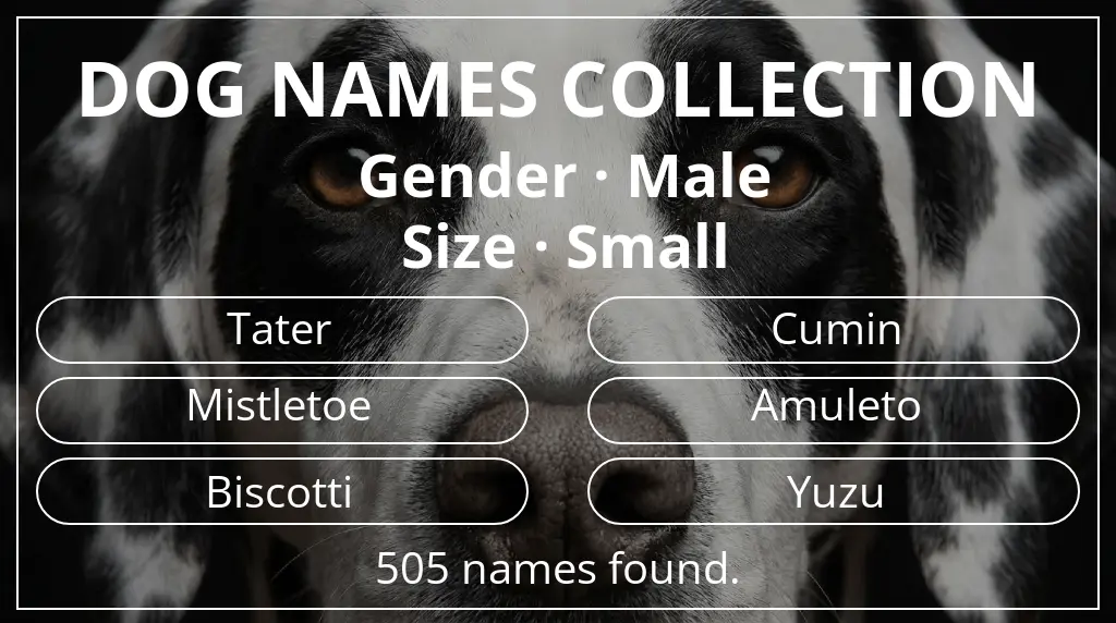 Names for dogs inspired by male gender and small size