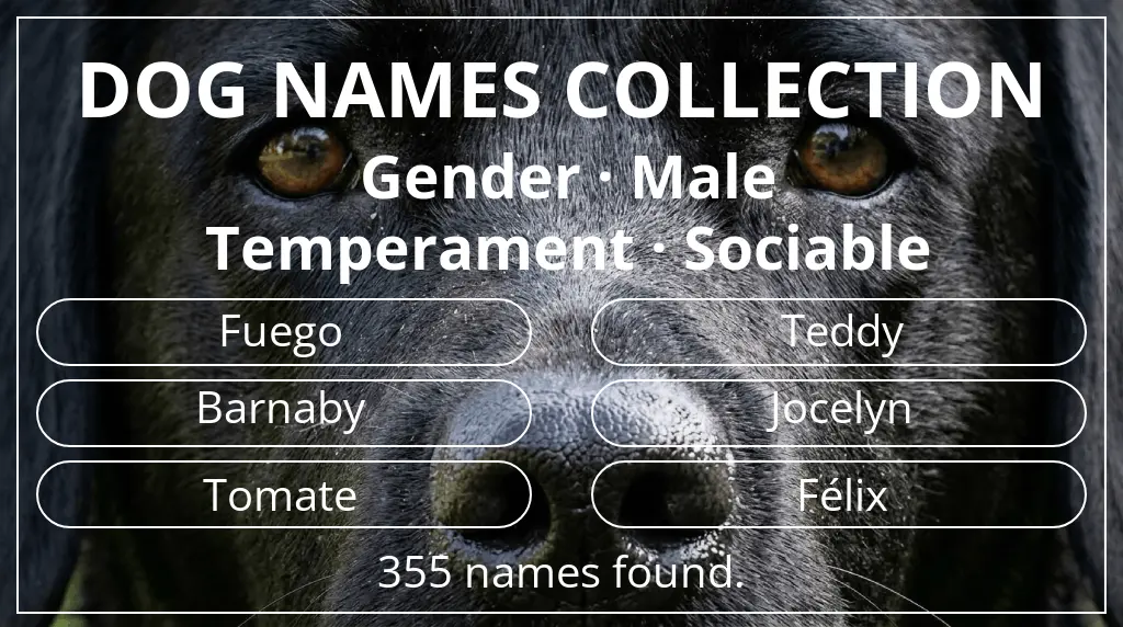 Names for dogs inspired by male gender and sociable temperament