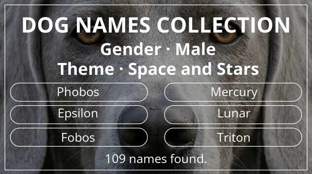 Dog names based on male gender and space and stars theme