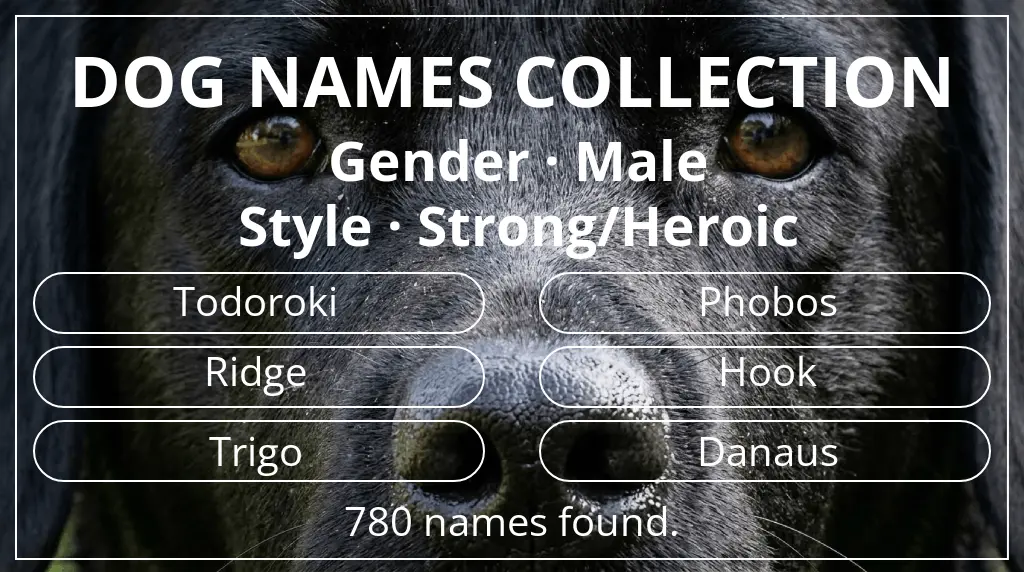 Names for dogs inspired by male gender and strong/heroic style