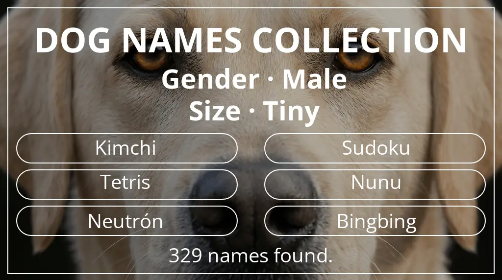 Dog names based on male gender and tiny size