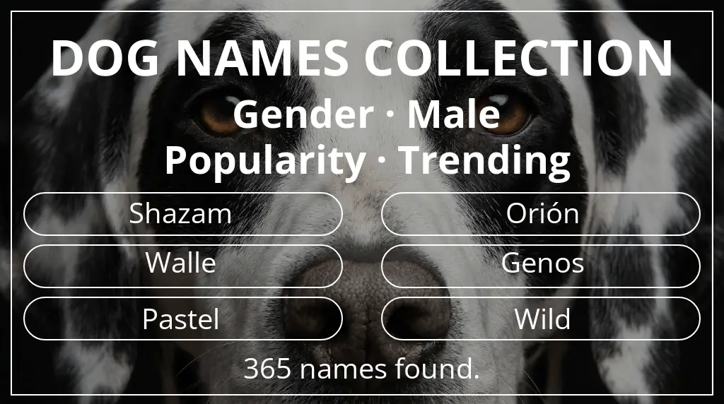 Dog names inspired by male gender and trending popularity