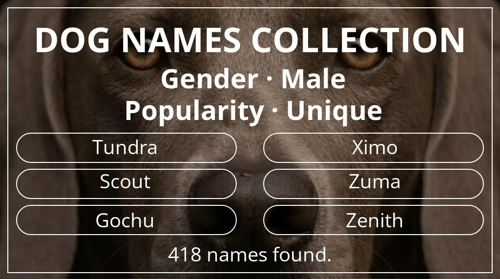 Dog names inspired by male gender and unique popularity
