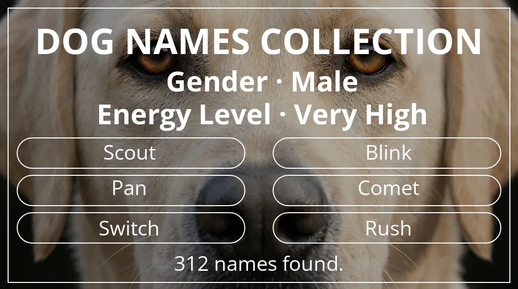 Names for dogs based on male gender and very high energy level