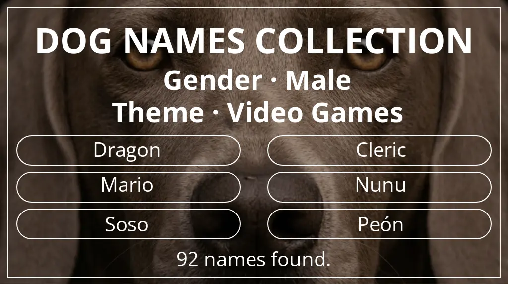 Names for dogs based on male gender and video games theme