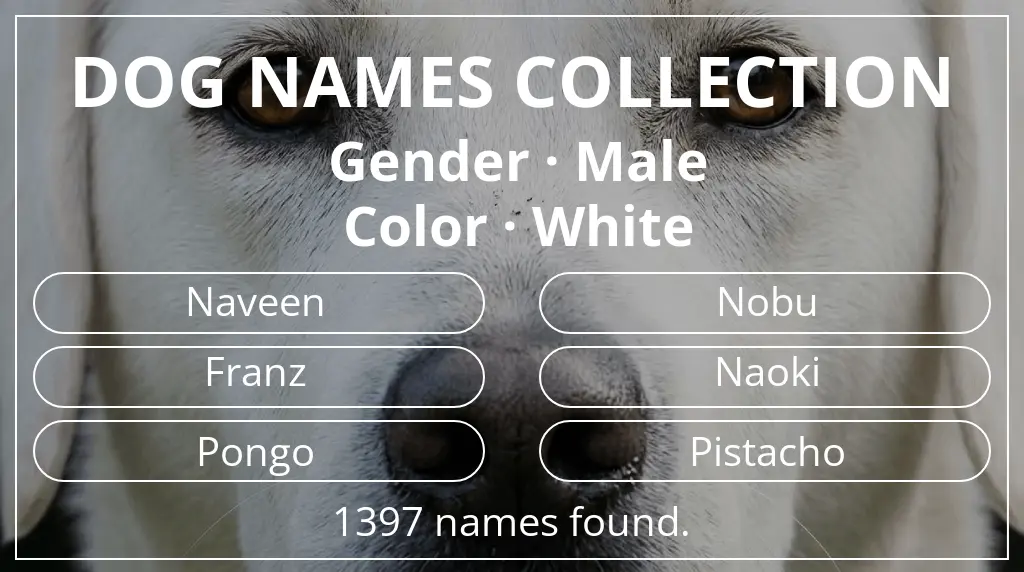 Dog names based on male gender and white color