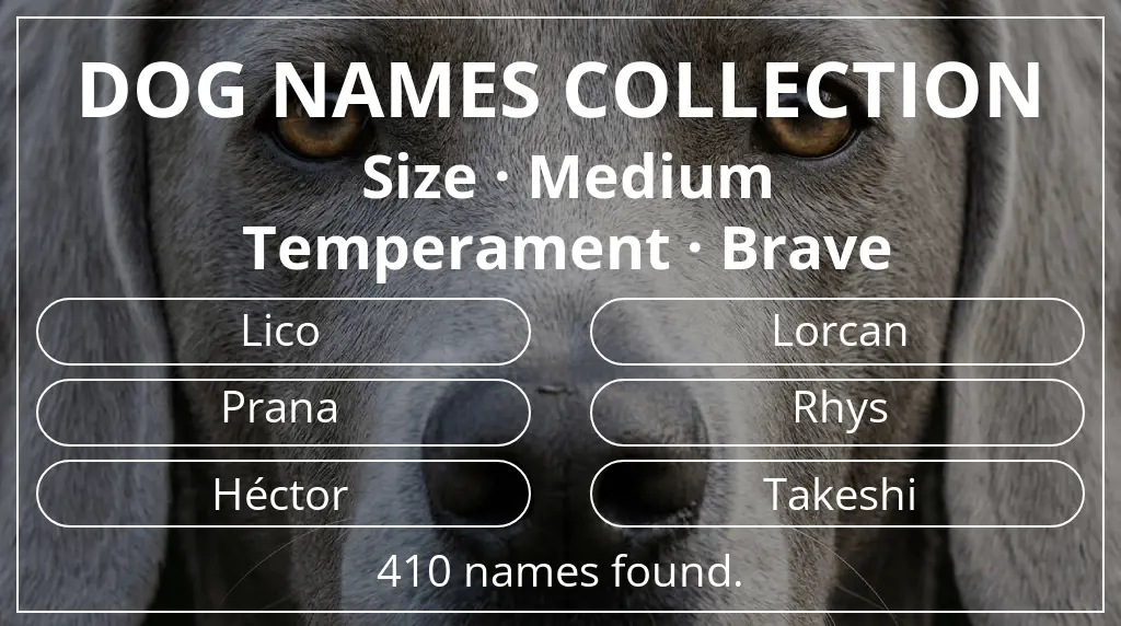 Dog names based on medium size and brave temperament