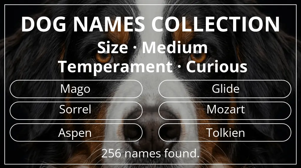 Dog names based on medium size and curious temperament