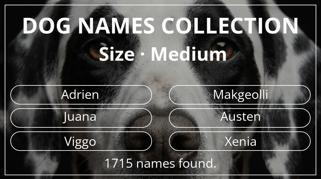 Dog names based on medium size