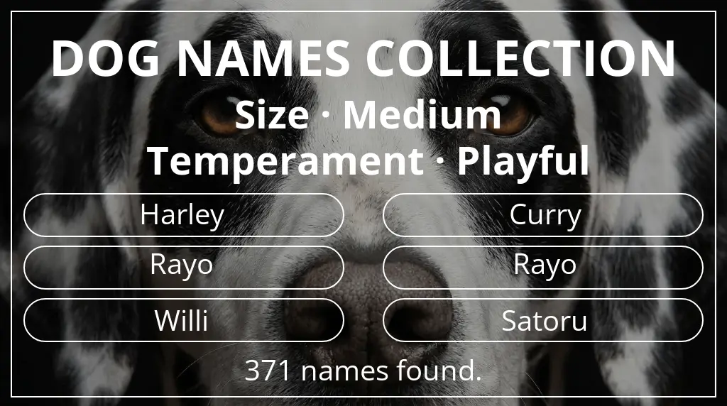 Dog names inspired by medium size and playful temperament