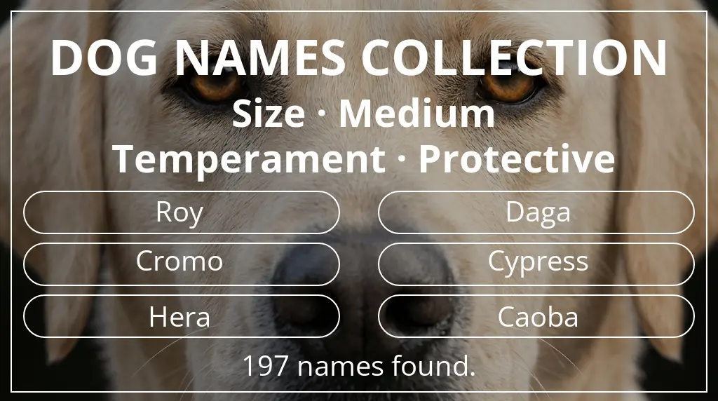 Dog names based on medium size and protective temperament