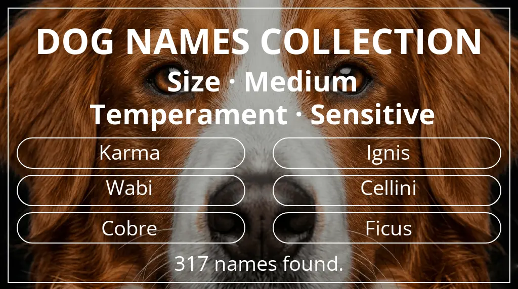Names for dogs inspired by medium size and sensitive temperament