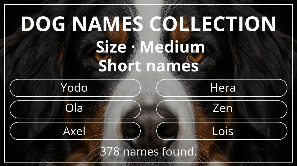 Names for dogs based on medium size and short (2–4) name length