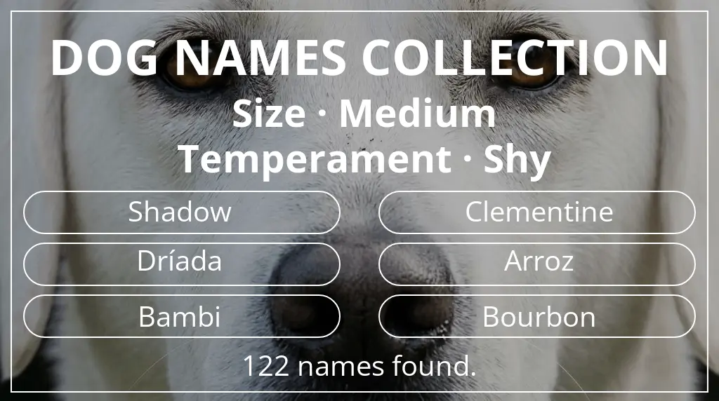 Names for dogs based on medium size and shy temperament