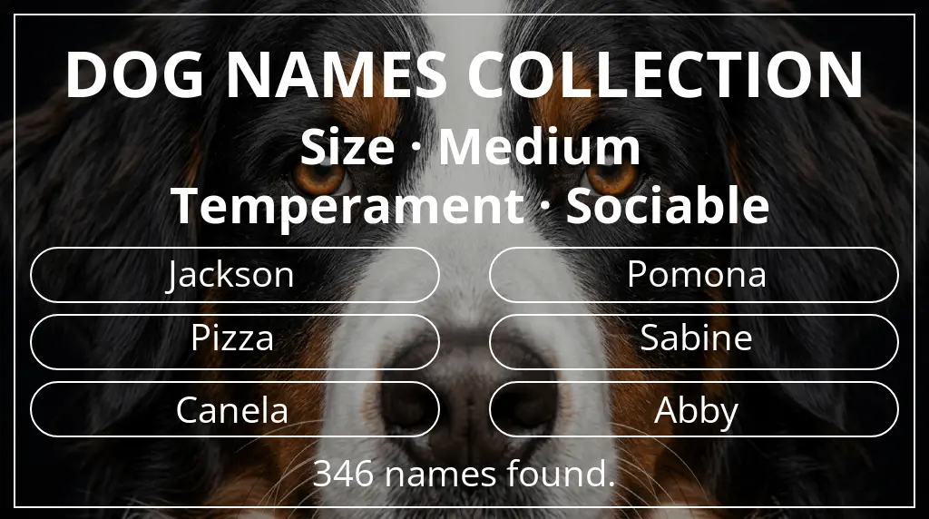 Names for dogs inspired by medium size and sociable temperament
