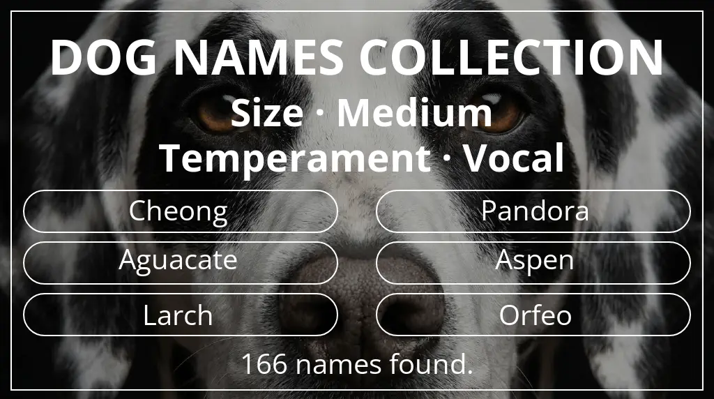 Names for dogs based on medium size and vocal temperament
