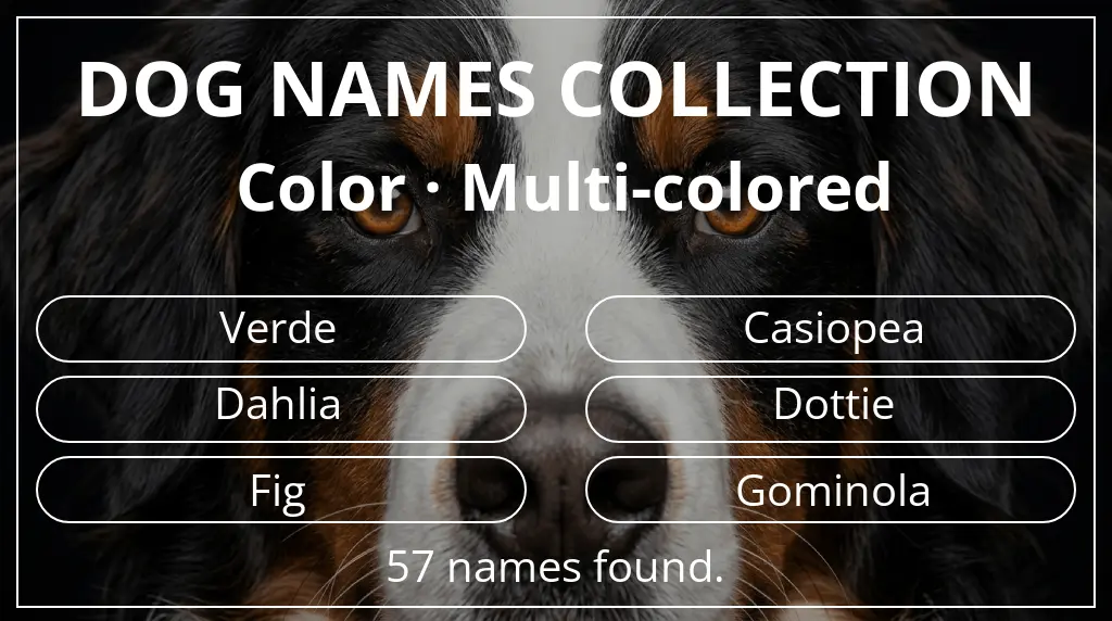 Dog names based on multi-colored color