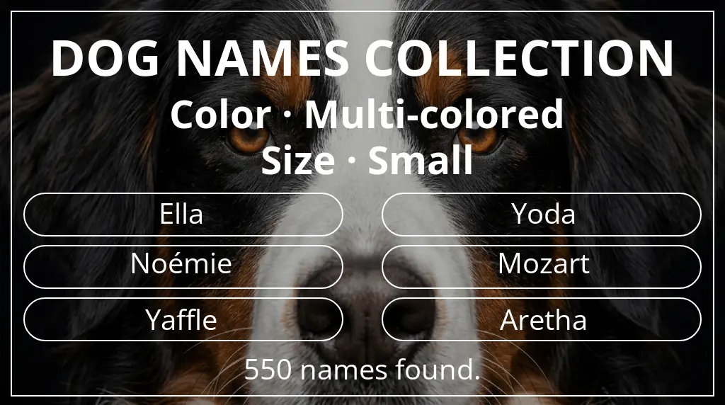 Names for dogs based on multi-colored color and small size
