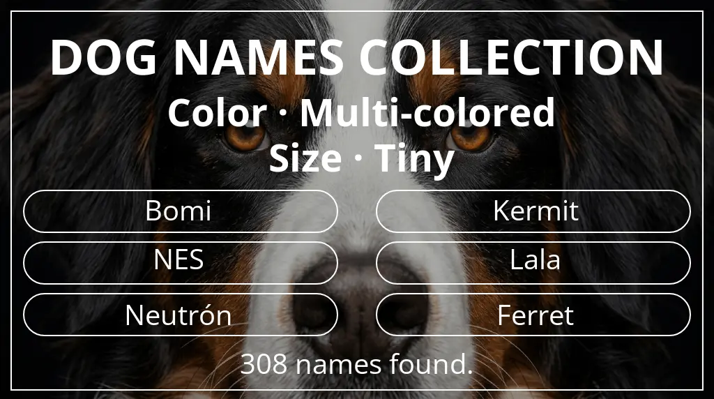 Names for dogs inspired by multi-colored color and tiny size