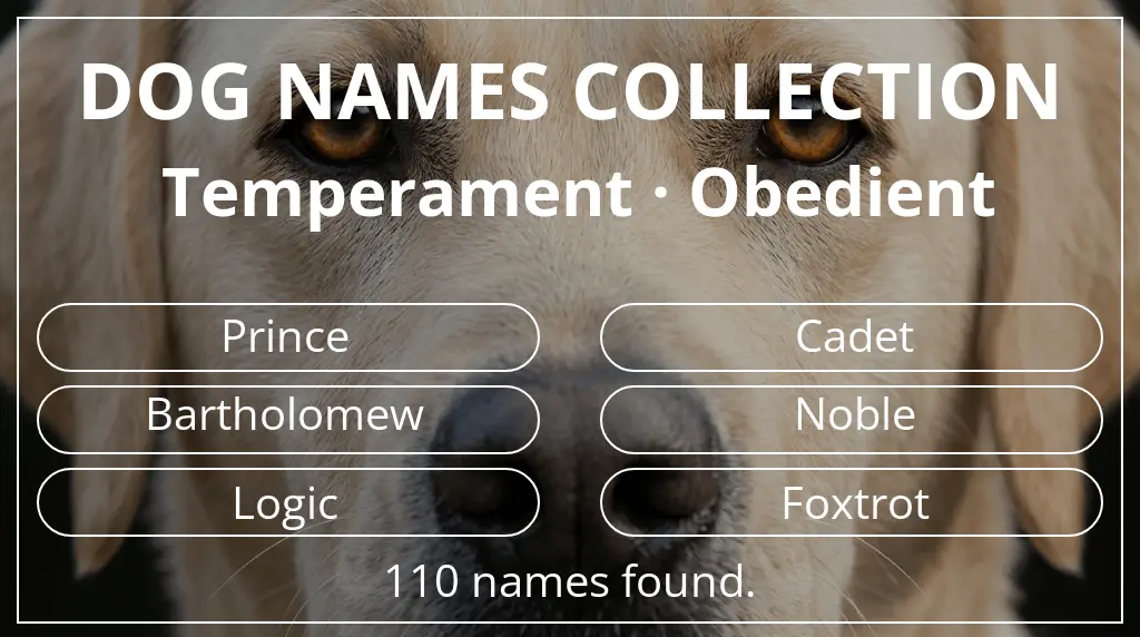 Names for dogs based on obedient temperament