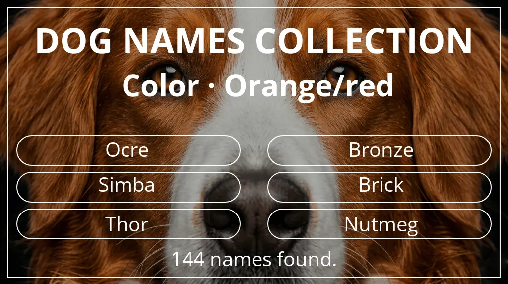 Names for dogs based on orange/red color