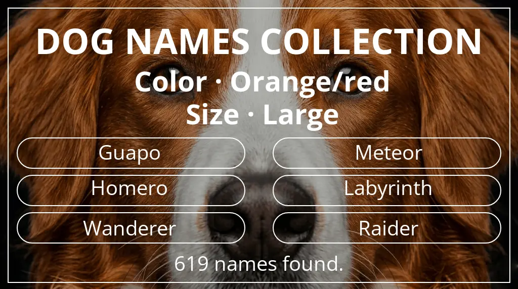 Names for dogs based on orange/red color and large size