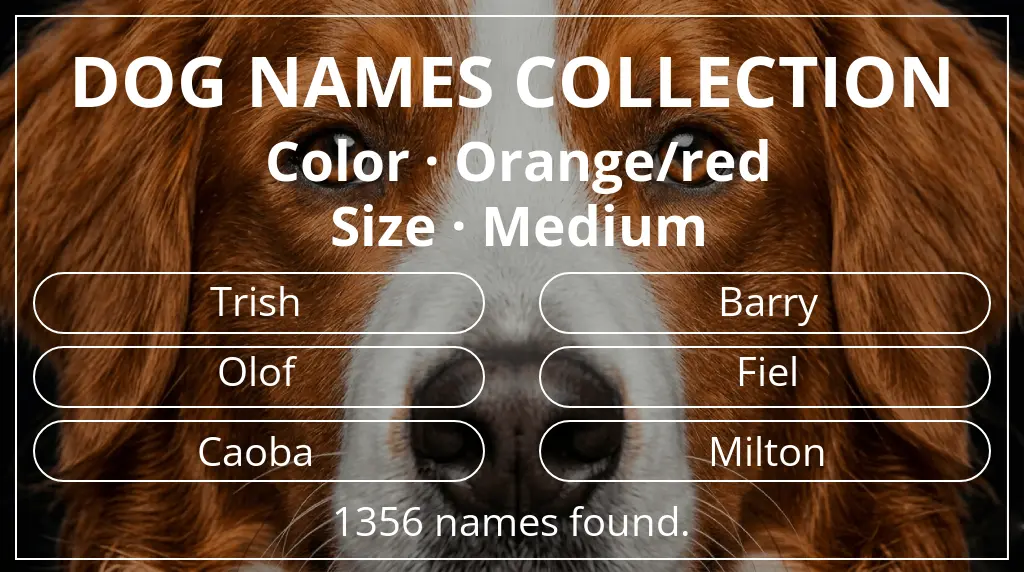 Names for dogs based on orange/red color and medium size