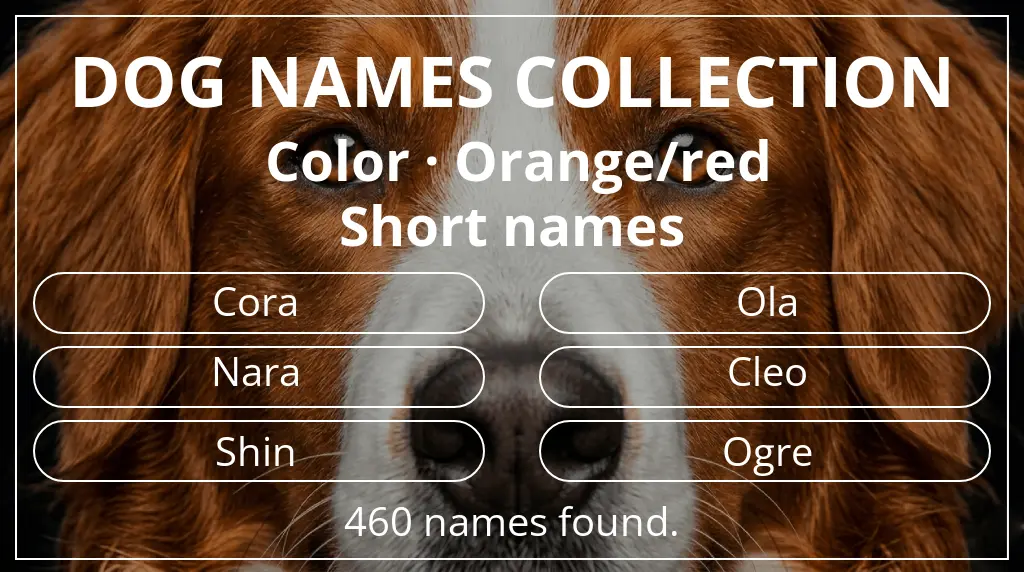Dog names based on orange/red color and short (2–4) name length