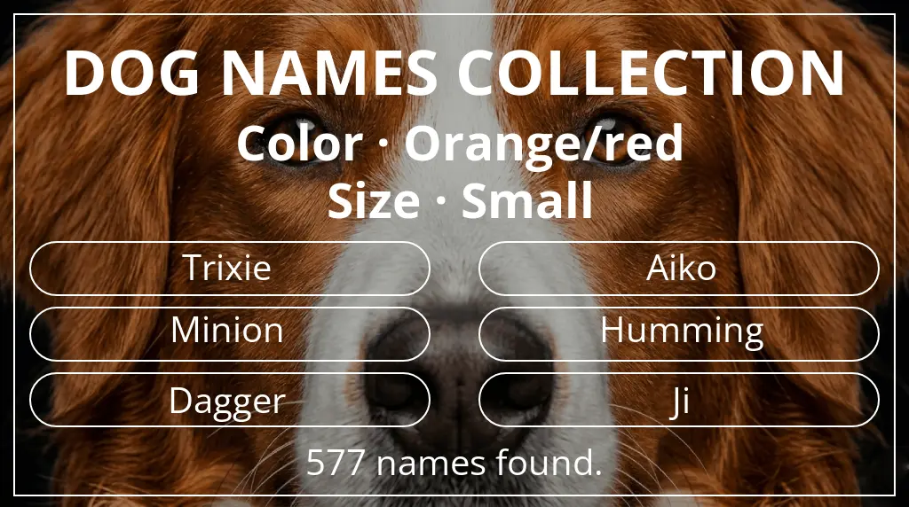Names for dogs inspired by orange/red color and small size