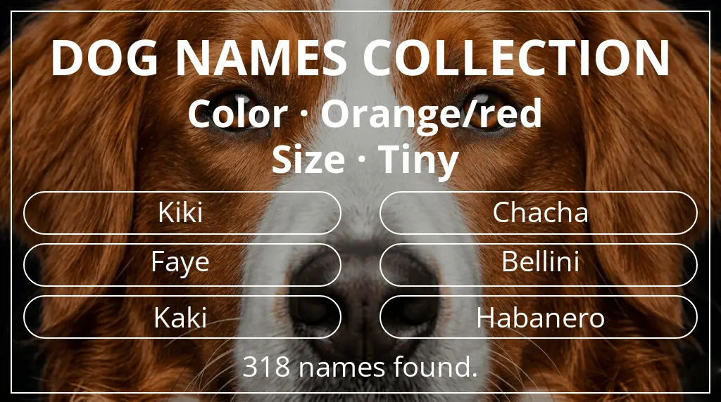 Dog names inspired by orange/red color and tiny size