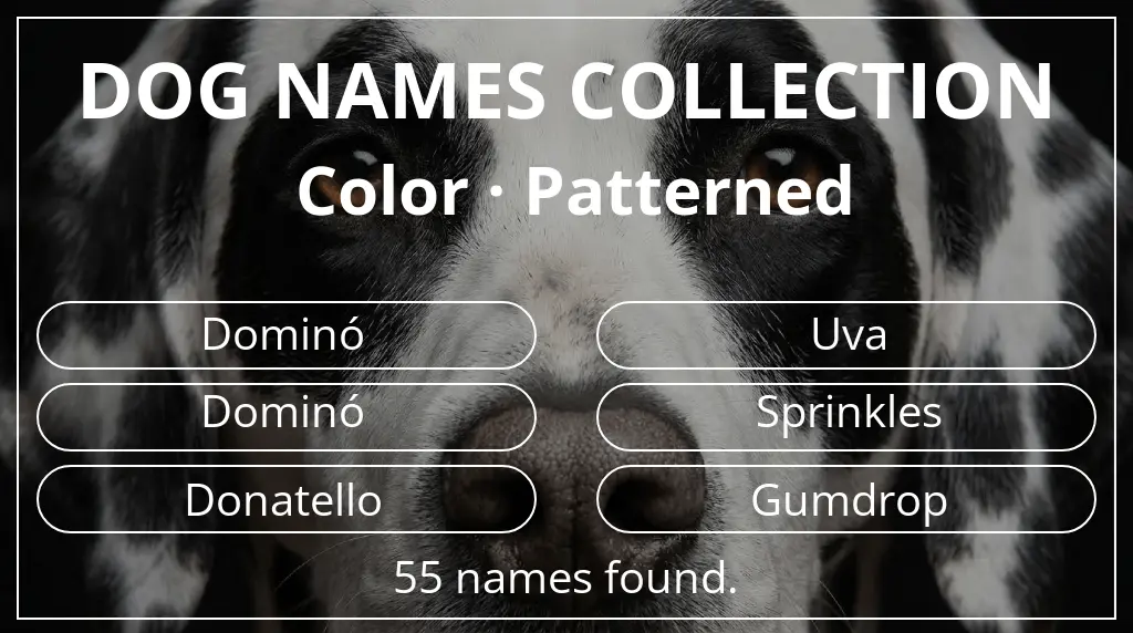 Names for dogs inspired by patterned color