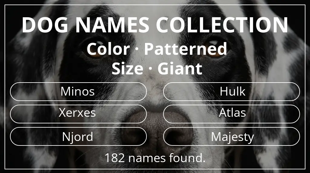 Names for dogs inspired by patterned color and giant size
