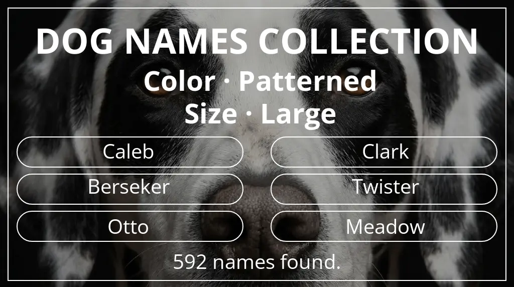 Dog names based on patterned color and large size
