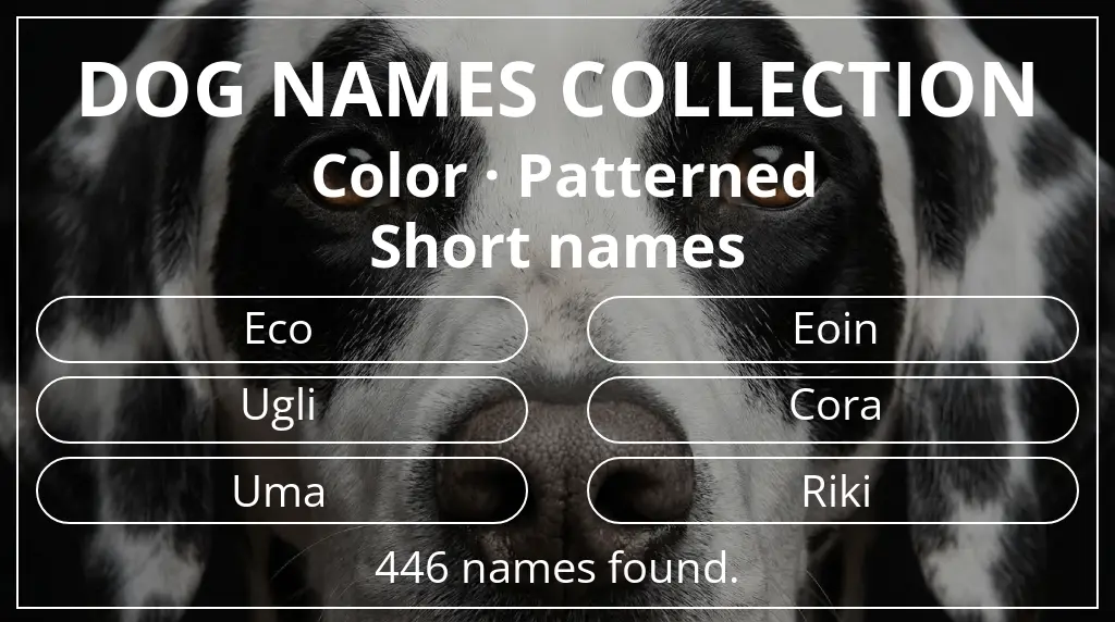 Dog names based on patterned color and short (2–4) name length