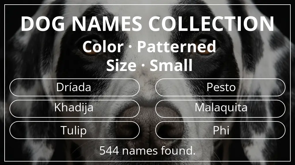 Names for dogs inspired by patterned color and small size