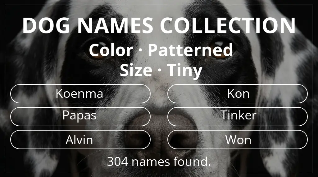 Dog names based on patterned color and tiny size
