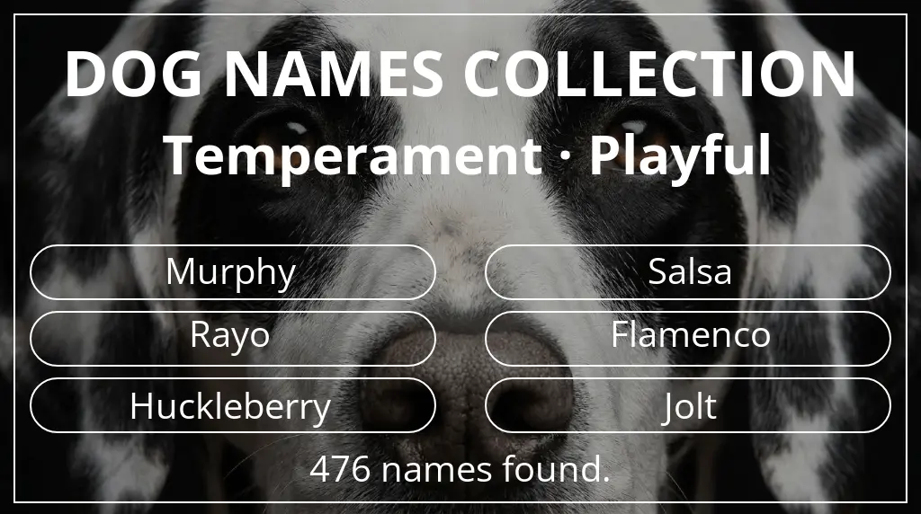 Names for dogs based on playful temperament